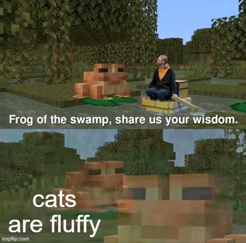 GUYS NO CAP!!!!1!!!11!!1 | cats are fluffy | image tagged in frog of the swamp share us your wisdom | made w/ Imgflip meme maker