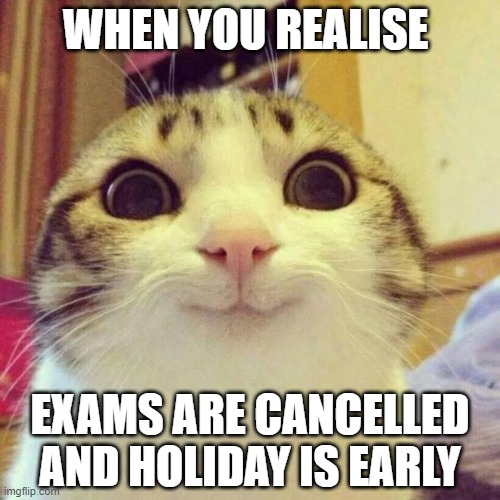 hi from hk | WHEN YOU REALISE; EXAMS ARE CANCELLED AND HOLIDAY IS EARLY | image tagged in memes,smiling cat,exams,holidays,cancelled,early | made w/ Imgflip meme maker