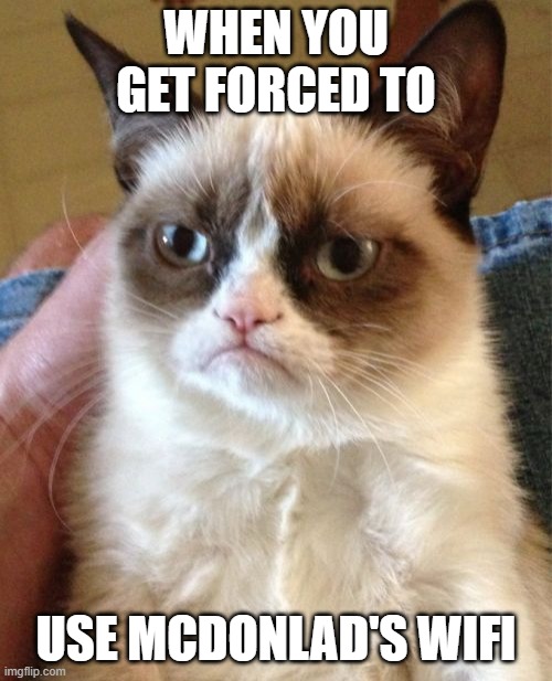 their wifi sucks | WHEN YOU GET FORCED TO; USE MCDONLAD'S WIFI | image tagged in memes,grumpy cat,mcdonalds,wifi,sucks,cat | made w/ Imgflip meme maker