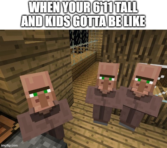 i'm not tall but i always see it happening around me | WHEN YOUR 6'11 TALL AND KIDS GOTTA BE LIKE | image tagged in minecraft villagers,tall,6'11,kids | made w/ Imgflip meme maker