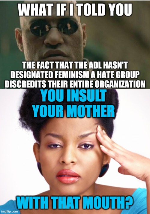 Meanwhile, in Politics, black is white, up is down, and feminism is "a hate group" | YOU INSULT YOUR MOTHER; WITH THAT MOUTH? | image tagged in annoyed woman,newspeak,feminism,trolls | made w/ Imgflip meme maker