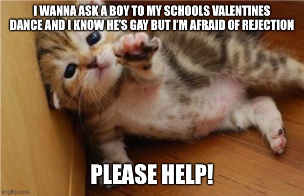 O-o | I WANNA ASK A BOY TO MY SCHOOLS VALENTINES DANCE AND I KNOW HE’S GAY BUT I’M AFRAID OF REJECTION; PLEASE HELP! | image tagged in help me kitten,memes,lgbtq | made w/ Imgflip meme maker