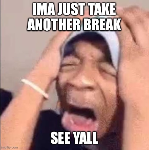 Flightreacts crying | IMA JUST TAKE ANOTHER BREAK; SEE YALL | image tagged in flightreacts crying | made w/ Imgflip meme maker