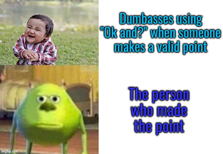 Not funny | Dumbasses using "Ok and?" when someone makes a valid point; The person who made the point | image tagged in not funny | made w/ Imgflip meme maker