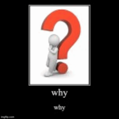 big WHY | image tagged in gifs,why | made w/ Imgflip images-to-gif maker