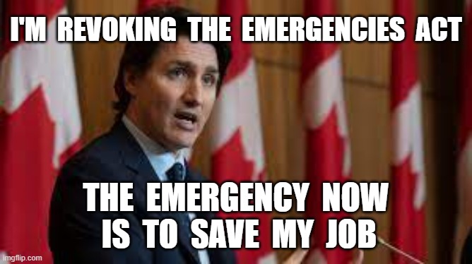 I'M  REVOKING  THE  EMERGENCIES  ACT; THE  EMERGENCY  NOW  IS  TO  SAVE  MY  JOB | image tagged in justin trudeau,canadian politics,soy boy,canadian truckers | made w/ Imgflip meme maker
