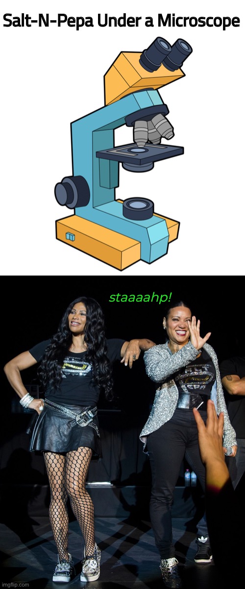 Salt-N-Pepa Under a Microscope staaaahp! | made w/ Imgflip meme maker
