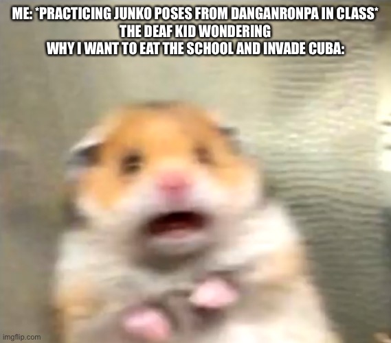 Scared Hamster | ME: *PRACTICING JUNKO POSES FROM DANGANRONPA IN CLASS*
THE DEAF KID WONDERING WHY I WANT TO EAT THE SCHOOL AND INVADE CUBA: | image tagged in scared hamster | made w/ Imgflip meme maker