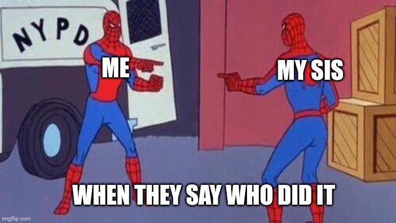 spiderman pointing at spiderman | ME; MY SIS; WHEN THEY SAY WHO DID IT | image tagged in spiderman pointing at spiderman | made w/ Imgflip meme maker