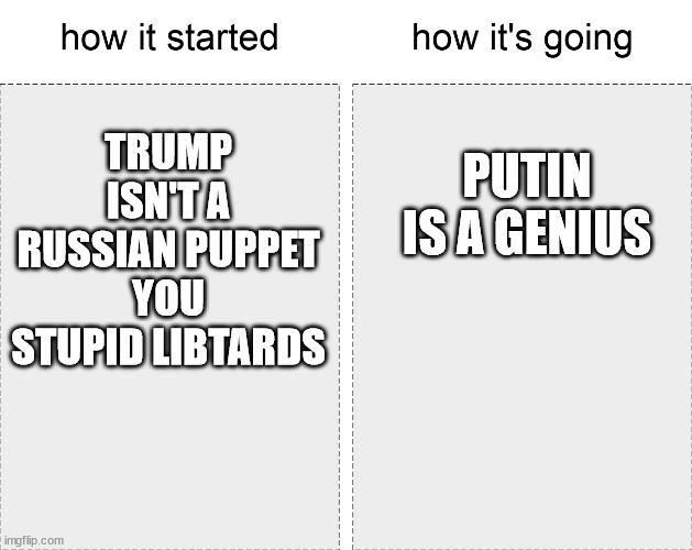 Mr Maga goesto Moscow | TRUMP ISN'T A RUSSIAN PUPPET YOU STUPID LIBTARDS; PUTIN IS A GENIUS | image tagged in how it started vs how it's going | made w/ Imgflip meme maker