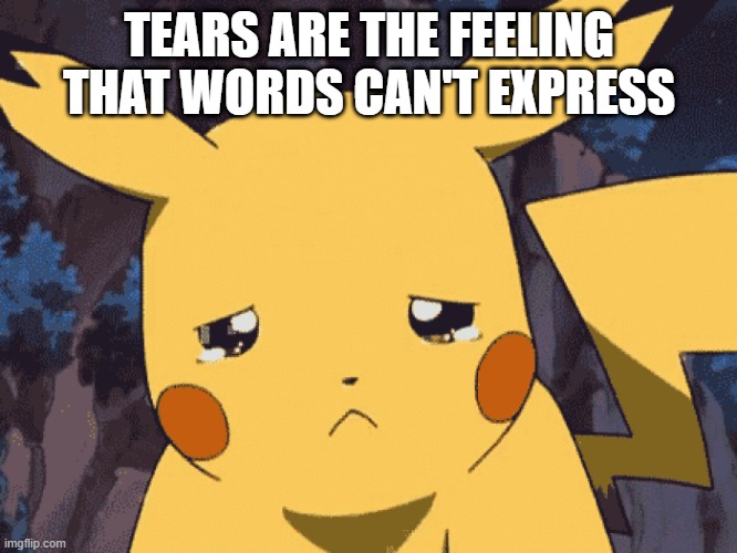 Sad one | TEARS ARE THE FEELING THAT WORDS CAN'T EXPRESS | image tagged in sad one | made w/ Imgflip meme maker