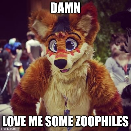 Kero The Wolf | DAMN; LOVE ME SOME ZOOPHILES | image tagged in kero the wolf | made w/ Imgflip meme maker