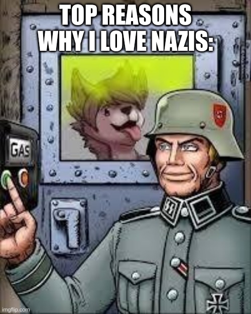 TOP REASONS WHY I LOVE NAZIS: | made w/ Imgflip meme maker