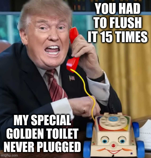 own up to your mistakes instead of flushing them | YOU HAD TO FLUSH IT 15 TIMES; MY SPECIAL GOLDEN TOILET NEVER PLUGGED | image tagged in i'm the president,presidential,behaviour,not | made w/ Imgflip meme maker