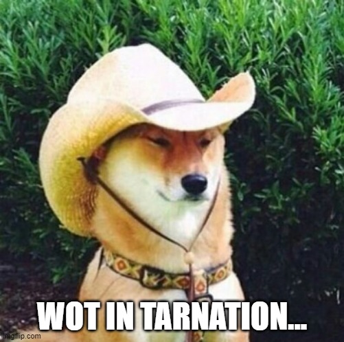Wot in Tarnation Dog | WOT IN TARNATION... | image tagged in wot in tarnation dog | made w/ Imgflip meme maker
