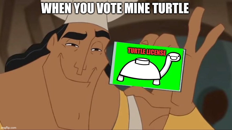 Kronk License | WHEN YOU VOTE MINE TURTLE TURTLE LICENSE | image tagged in kronk license | made w/ Imgflip meme maker