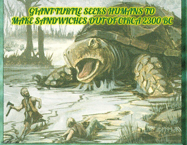 Mine turtle gets his revenge | GIANT TURTLE SEEKS HUMANS TO MAKE SANDWICHES OUT OF CIRCA 2300 BC | image tagged in mine turtle,for hoc,human,burger | made w/ Imgflip meme maker