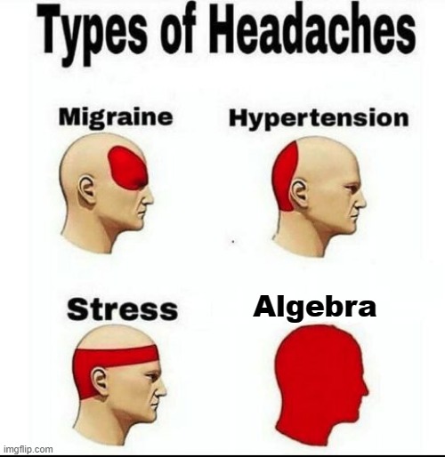 my memes all shit on math | Algebra | image tagged in types of headaches meme | made w/ Imgflip meme maker