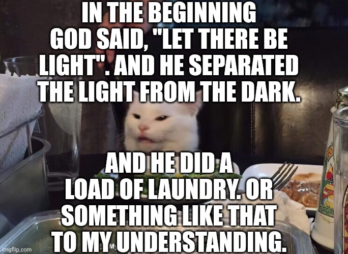 IN THE BEGINNING GOD SAID, "LET THERE BE LIGHT". AND HE SEPARATED THE LIGHT FROM THE DARK. AND HE DID A LOAD OF LAUNDRY. OR SOMETHING LIKE THAT TO MY UNDERSTANDING. | image tagged in smudge the cat,smudge | made w/ Imgflip meme maker