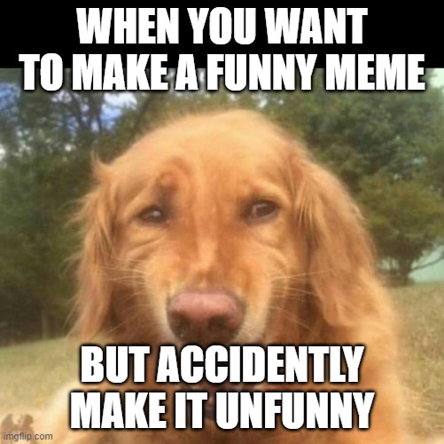 unfunny meme | WHEN YOU WANT TO MAKE A FUNNY MEME; BUT ACCIDENTLY MAKE IT UNFUNNY | image tagged in fake laugh dog | made w/ Imgflip meme maker