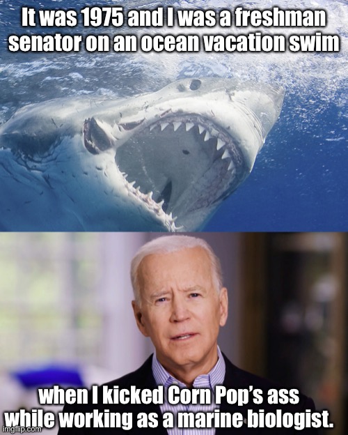Biden’s explandimg resume | It was 1975 and I was a freshman senator on an ocean vacation swim; when I kicked Corn Pop’s ass while working as a marine biologist. | image tagged in joe biden 2020,corn pop,jaws,shark,1975,senile | made w/ Imgflip meme maker