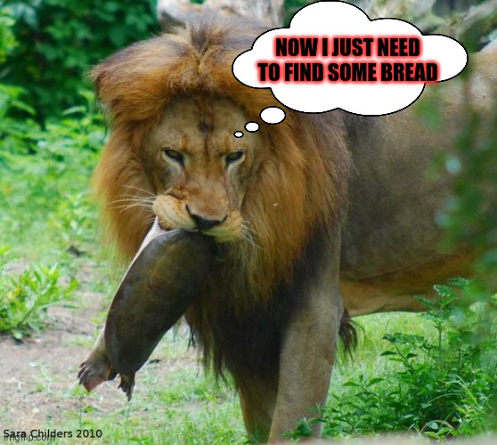 Scar caught half a turtle burger | NOW I JUST NEED TO FIND SOME BREAD | image tagged in scar the lion,fresh,turtles,turtle burger | made w/ Imgflip meme maker