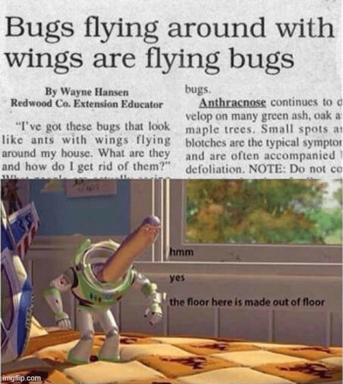 bug | image tagged in hmm yes the floor here is made out of floor | made w/ Imgflip meme maker