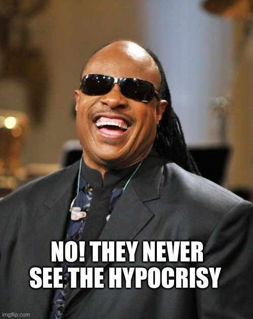 Stevie Wonder | NO! THEY NEVER SEE THE HYPOCRISY | image tagged in stevie wonder | made w/ Imgflip meme maker