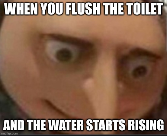 oops | WHEN YOU FLUSH THE TOILET; AND THE WATER STARTS RISING | image tagged in gru | made w/ Imgflip meme maker