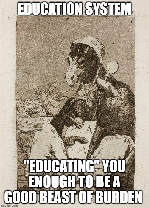 Education System | EDUCATION SYSTEM; "EDUCATING" YOU ENOUGH TO BE A GOOD BEAST OF BURDEN | image tagged in education,ass,donkey,work | made w/ Imgflip meme maker