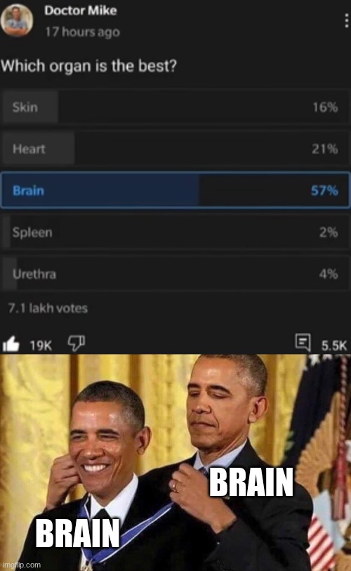 brain is the best | BRAIN; BRAIN | image tagged in obama medal | made w/ Imgflip meme maker