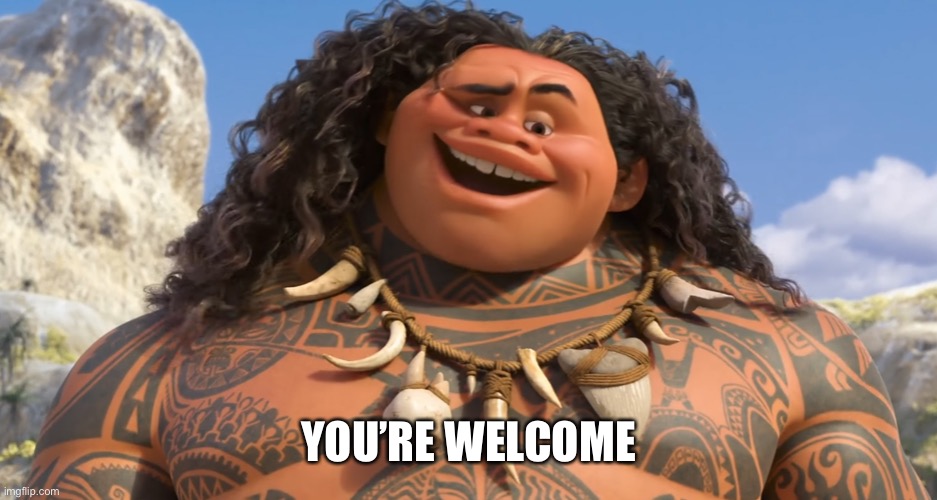 youre welcome | YOU’RE WELCOME | image tagged in youre welcome | made w/ Imgflip meme maker