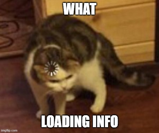 Loading cat | WHAT LOADING INFO | image tagged in loading cat | made w/ Imgflip meme maker