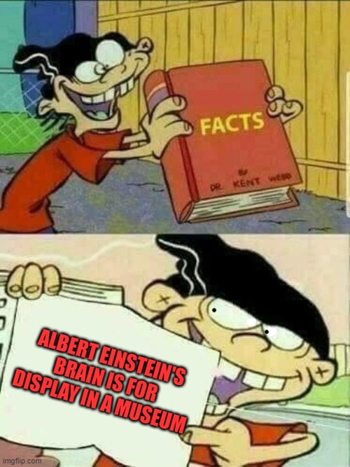 :o | ALBERT EINSTEIN'S BRAIN IS FOR DISPLAY IN A MUSEUM | image tagged in double d facts book | made w/ Imgflip meme maker