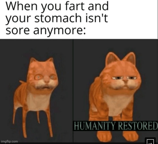 image tagged in memes,humanity restored,stomach,fart | made w/ Imgflip meme maker