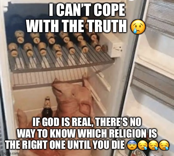 Oh nooooo | I CAN’T COPE WITH THE TRUTH 😢; IF GOD IS REAL, THERE’S NO WAY TO KNOW WHICH RELIGION IS THE RIGHT ONE UNTIL YOU DIE 😨😪😪😪 | image tagged in pig in fridge,religion,bruh,religions,philosophy | made w/ Imgflip meme maker