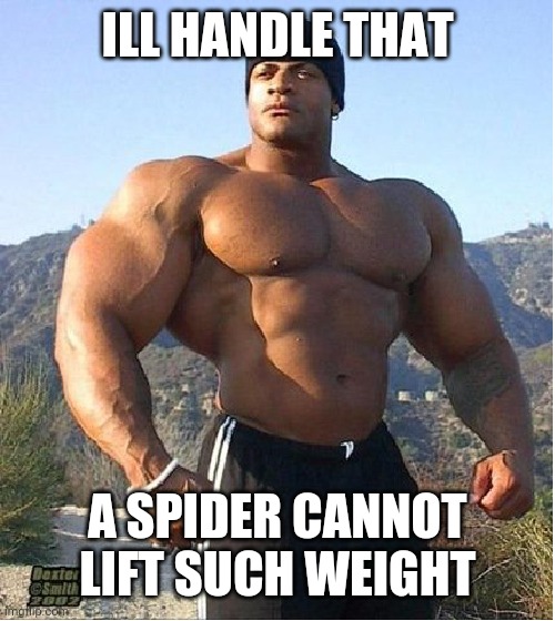 buff guy | ILL HANDLE THAT A SPIDER CANNOT LIFT SUCH WEIGHT | image tagged in buff guy | made w/ Imgflip meme maker