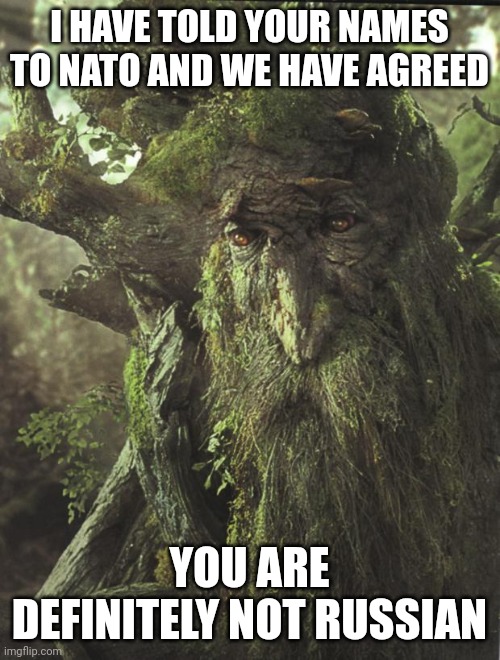 LOTR ENT | I HAVE TOLD YOUR NAMES TO NATO AND WE HAVE AGREED; YOU ARE DEFINITELY NOT RUSSIAN | image tagged in lotr ent | made w/ Imgflip meme maker