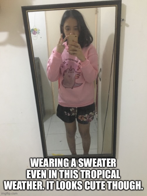 Meowgical | WEARING A SWEATER EVEN IN THIS TROPICAL WEATHER. IT LOOKS CUTE THOUGH. | made w/ Imgflip meme maker