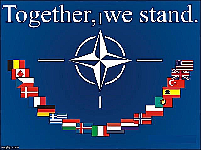 Long derided by political wingnuts of both the Right and Left, NATO has never looked more necessary and relevant. | image tagged in nato together we stand | made w/ Imgflip meme maker