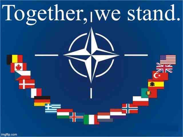Long derided by political wingnuts of both the Right and Left, NATO has never looked more necessary and relevant. | image tagged in nato together we stand | made w/ Imgflip meme maker