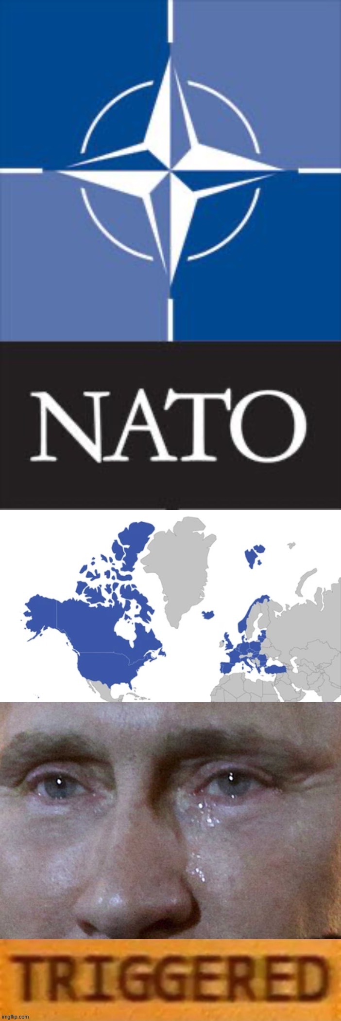 Putin claims to hate NATO’s “expansion.” In reality, he hates its very existence. | image tagged in nato flag,nato countries,putin triggered | made w/ Imgflip meme maker