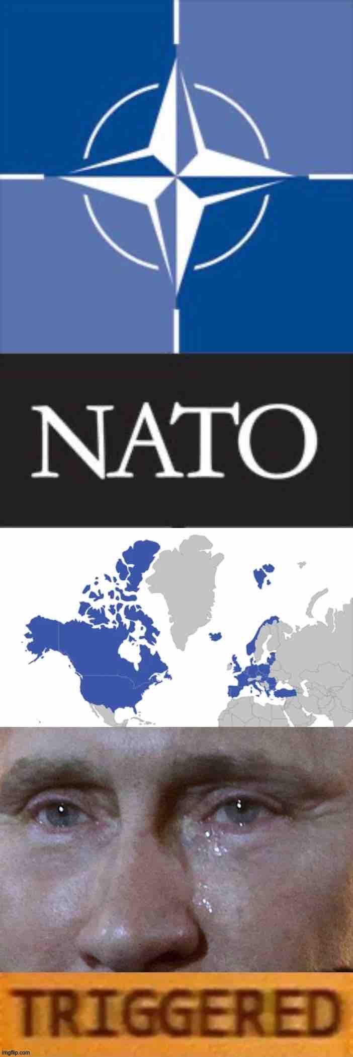 Putin triggered by NATO | image tagged in putin triggered by nato | made w/ Imgflip meme maker