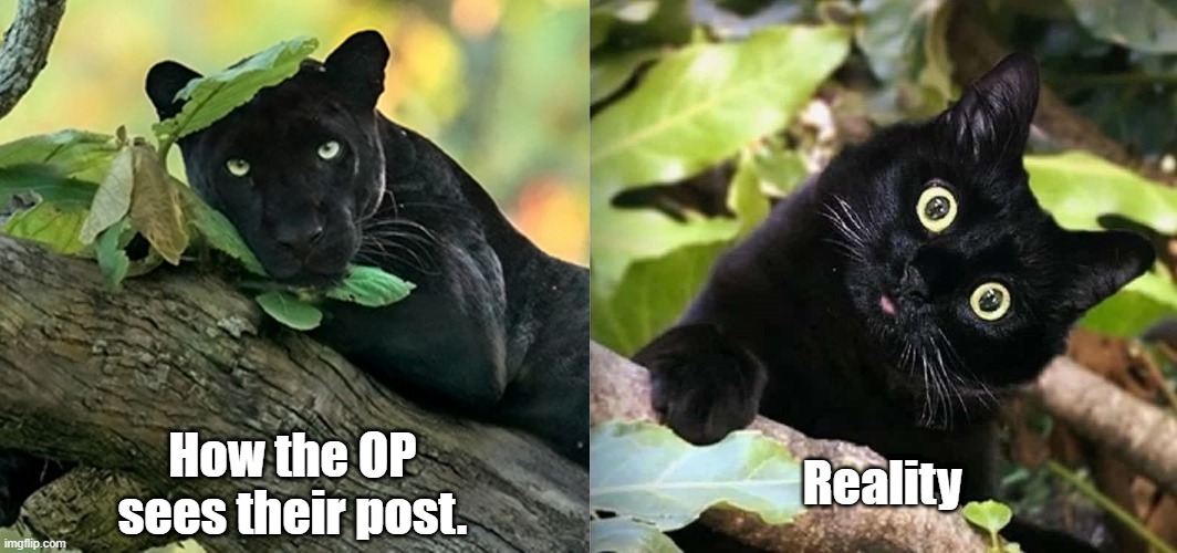 OP-vs-reality | Reality; How the OP
sees their post. | image tagged in expectation vs reality | made w/ Imgflip meme maker