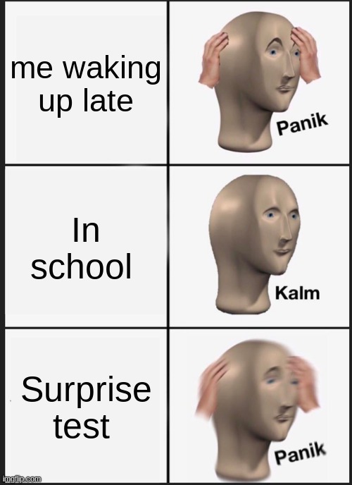 school day | me waking up late; In school; Surprise test | image tagged in memes,panik kalm panik | made w/ Imgflip meme maker