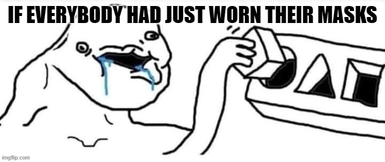 IF EVERYBODY HAD JUST WORN THEIR MASKS | made w/ Imgflip meme maker