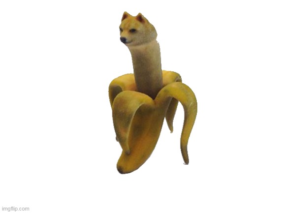 lets see how far this doge banana will get | image tagged in doge banana,funny,memes,russia | made w/ Imgflip meme maker