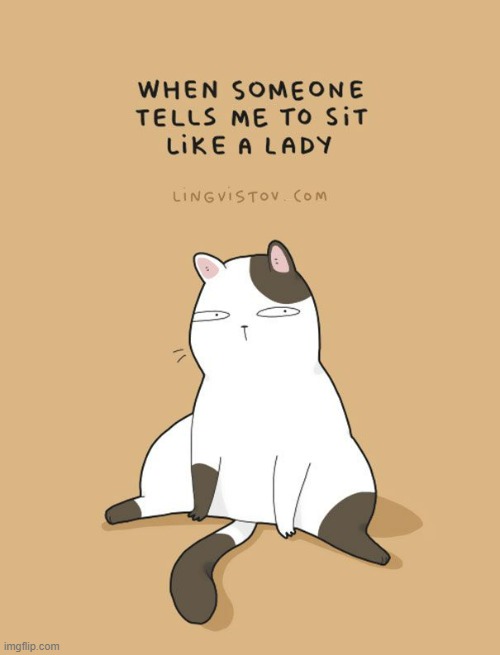 A Cat's Way Of Thinking | image tagged in memes,comics,cats,sit down,like,lady | made w/ Imgflip meme maker