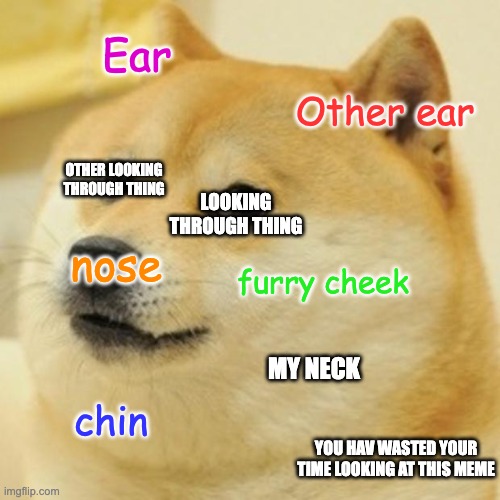 Doge |  Ear; Other ear; OTHER LOOKING THROUGH THING; LOOKING THROUGH THING; nose; furry cheek; MY NECK; chin; YOU HAV WASTED YOUR TIME LOOKING AT THIS MEME | image tagged in memes,doge | made w/ Imgflip meme maker