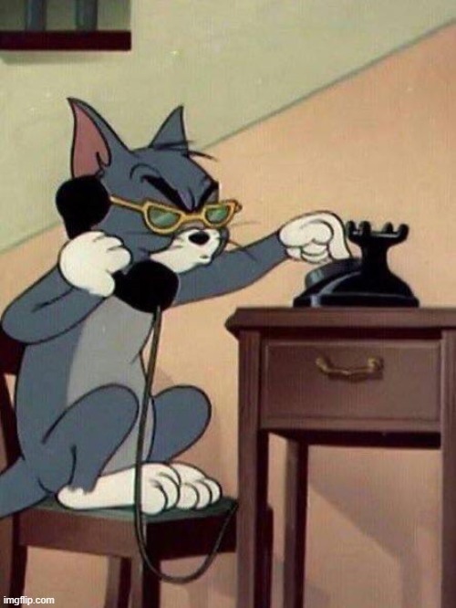 Tom cat calling FBI | image tagged in tom cat calling fbi | made w/ Imgflip meme maker